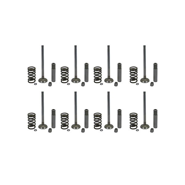 UA999695  Valve Train Kit, New - 3010, 3020 Gas