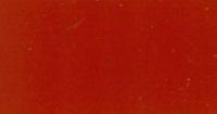 UF82590   Ford Red----Gallon---TP310GAL