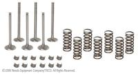 UF11760    Engine Valve Overhaul Kit---Replaces VOKF158 